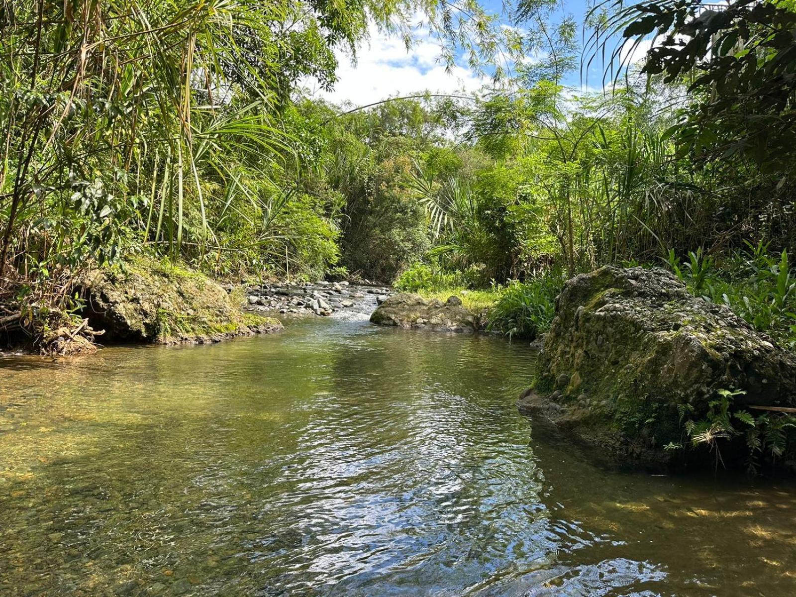 הוילה Casa Campestre Buga Parcelacion Paraiso De Sonsito מראה חיצוני תמונה